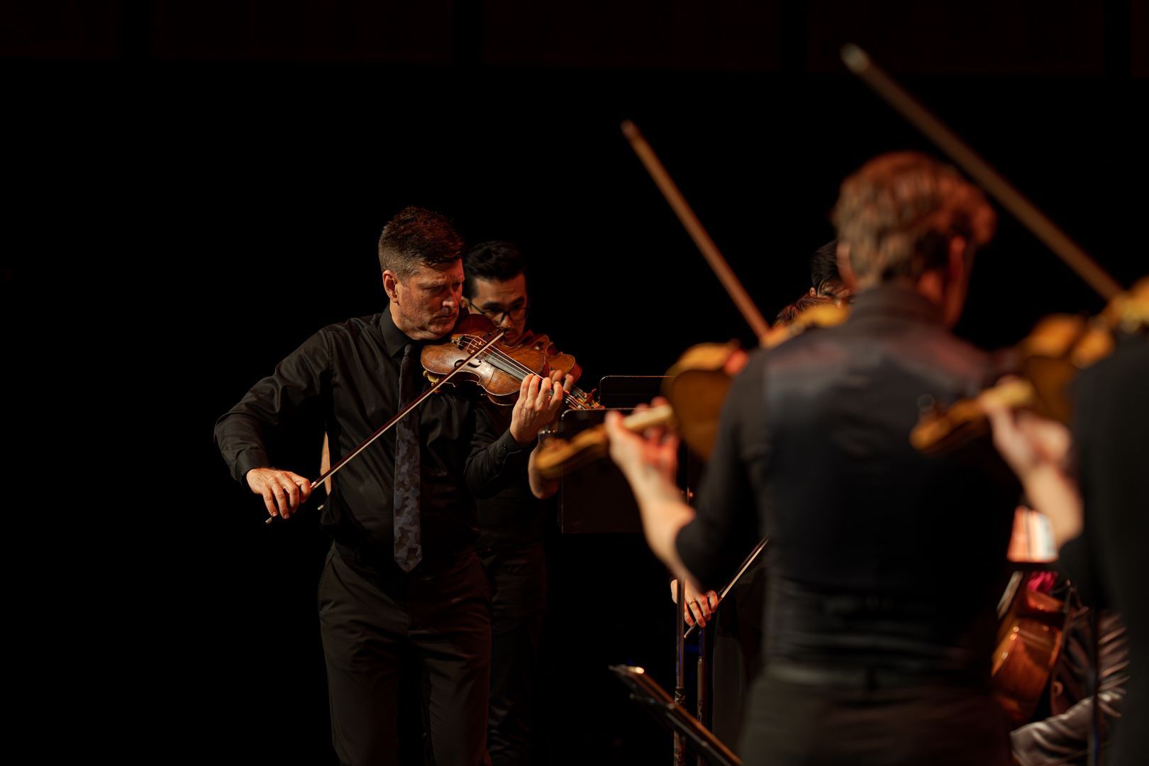 Camerata - Queensland's Chamber Orchestra