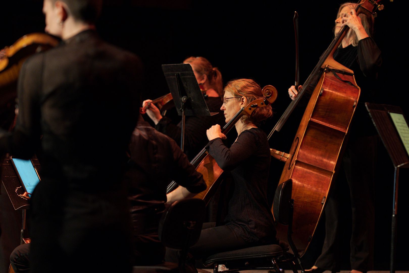 Camerata - Queensland's Chamber Orchestra