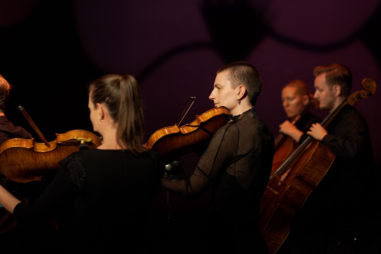 Camerata - Queensland's Chamber Orchestra
