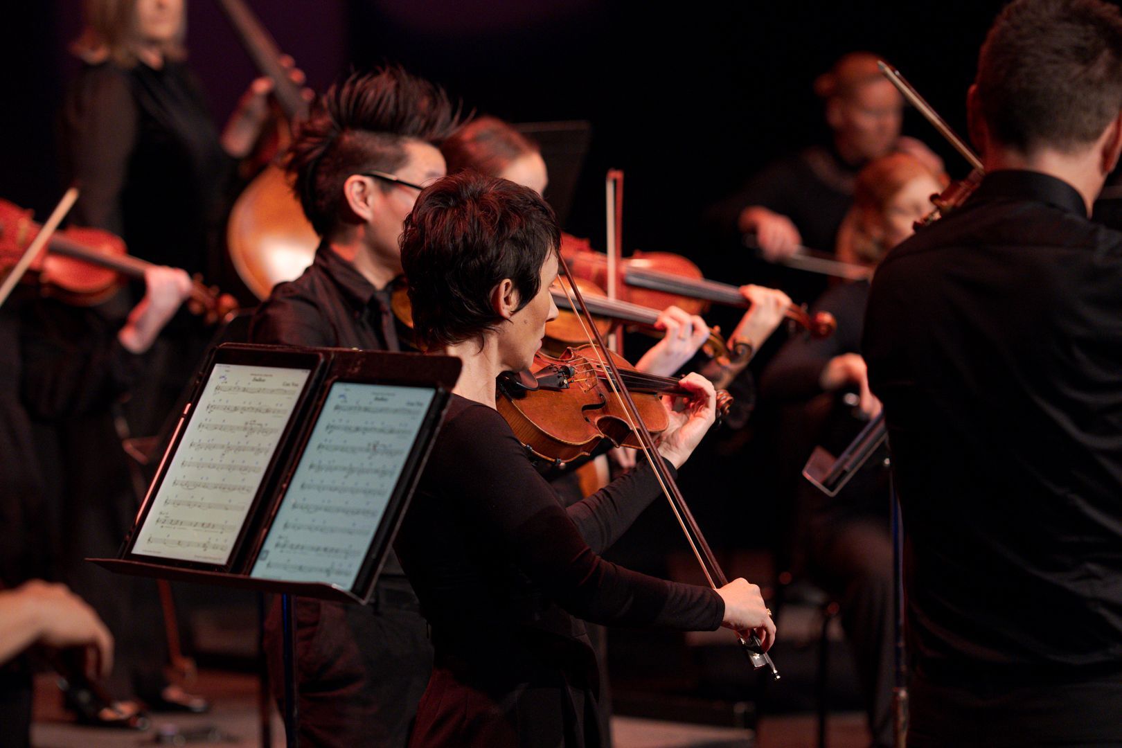 Camerata - Queensland's Chamber Orchestra