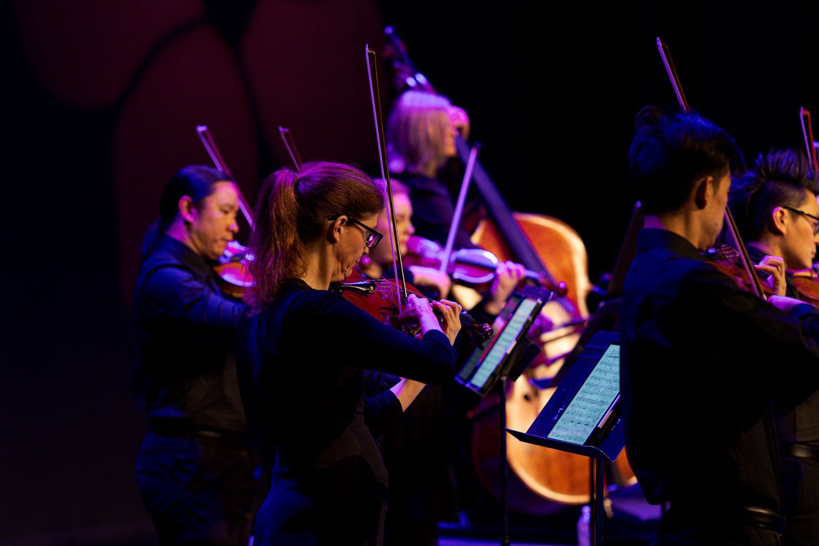 Camerata - Queensland's Chamber Orchestra