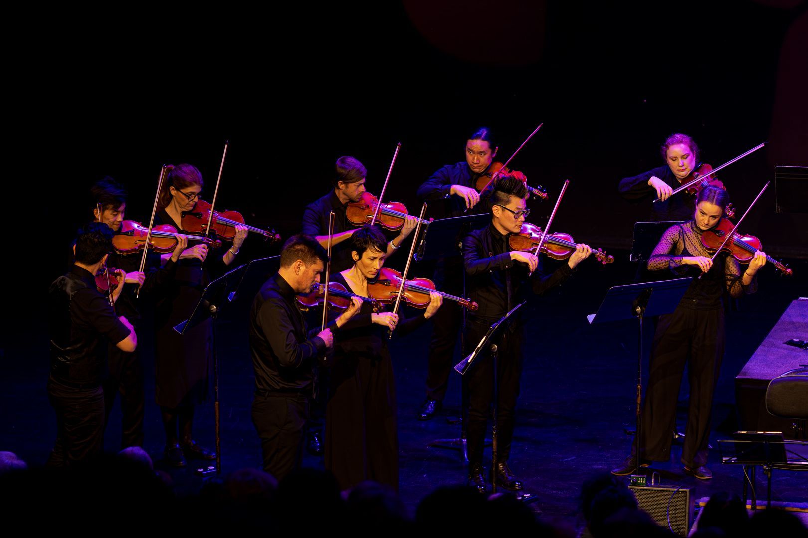Camerata - Queensland's Chamber Orchestra