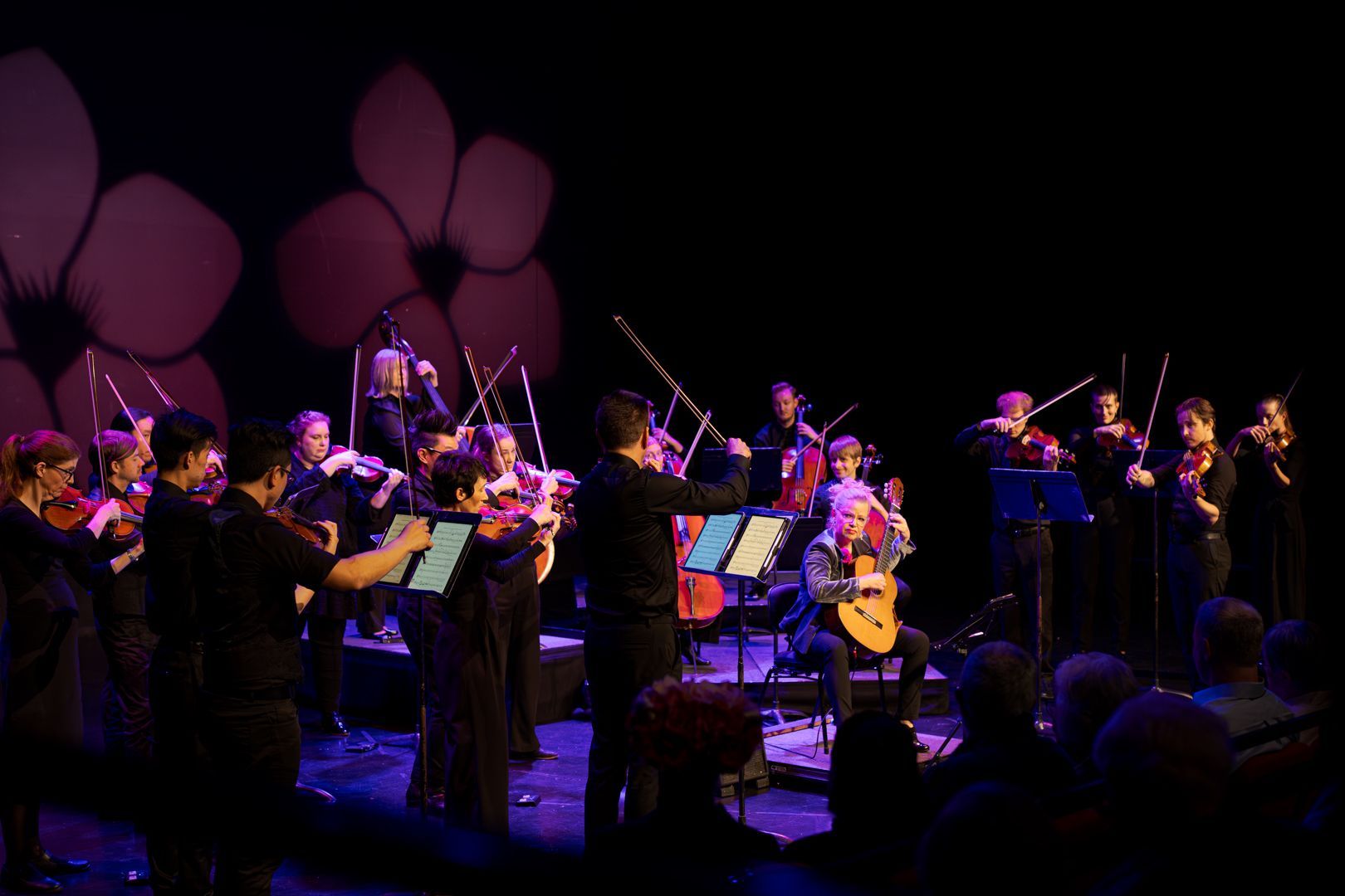 Camerata - Queensland's Chamber Orchestra