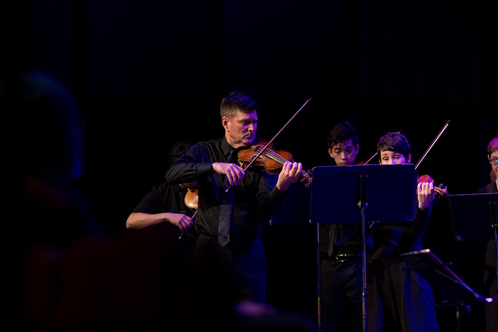 Camerata - Queensland's Chamber Orchestra