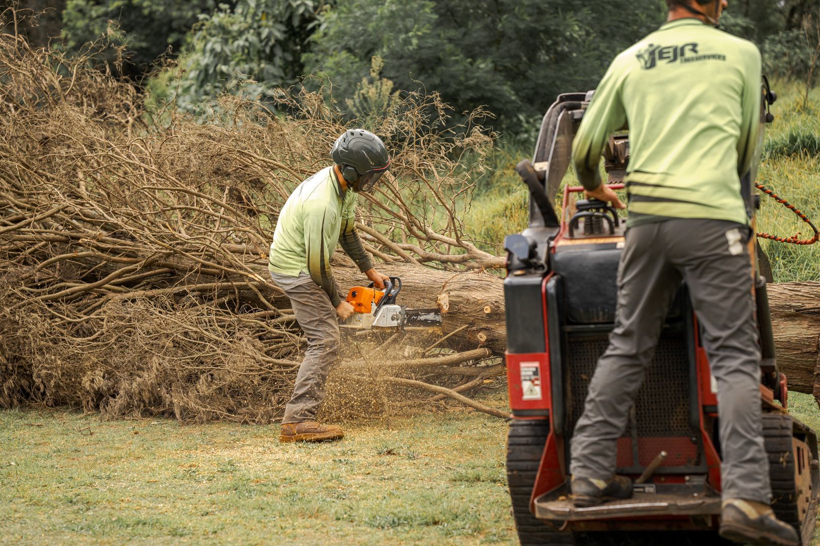 EJR Tree Services - Project Features