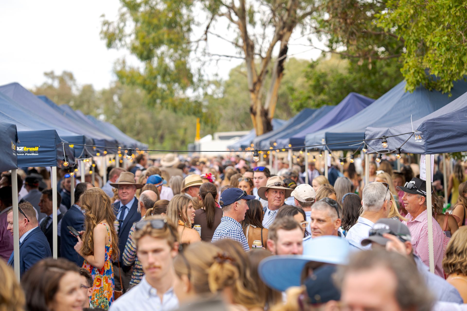 Goondiwindi Picnic Races