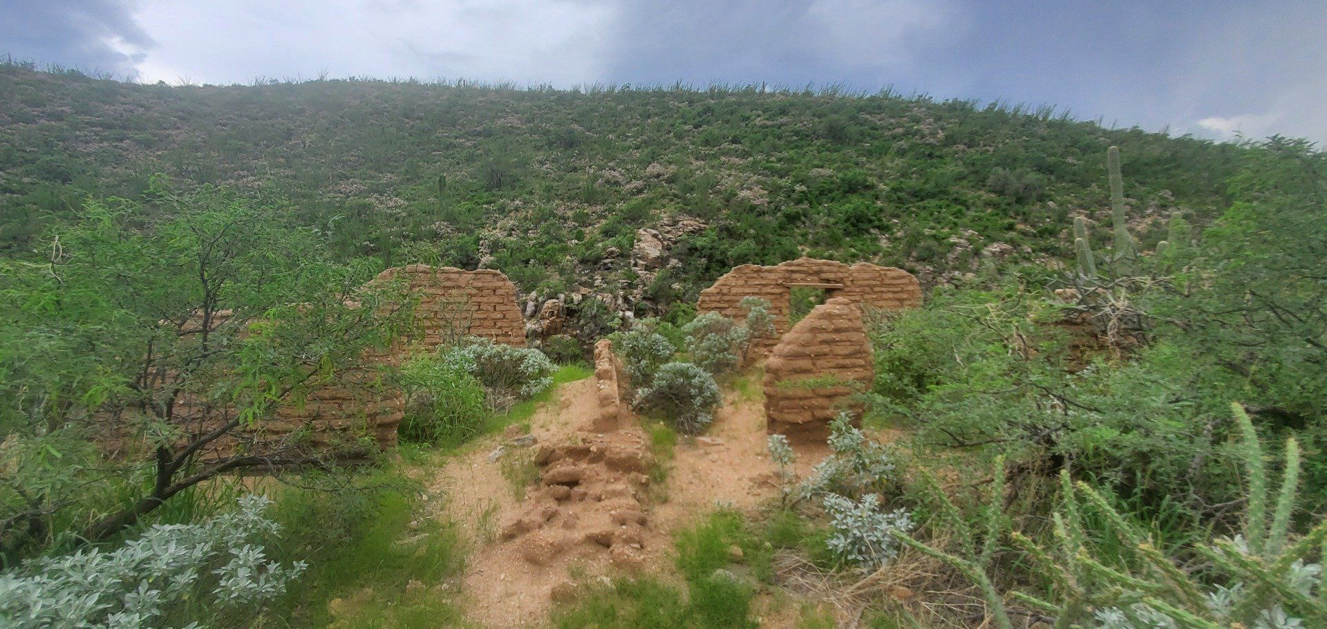 View of green lands and walls