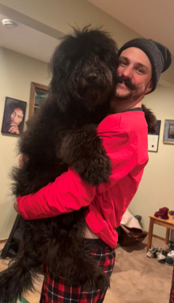 A man is holding a large black dog in his arms.
