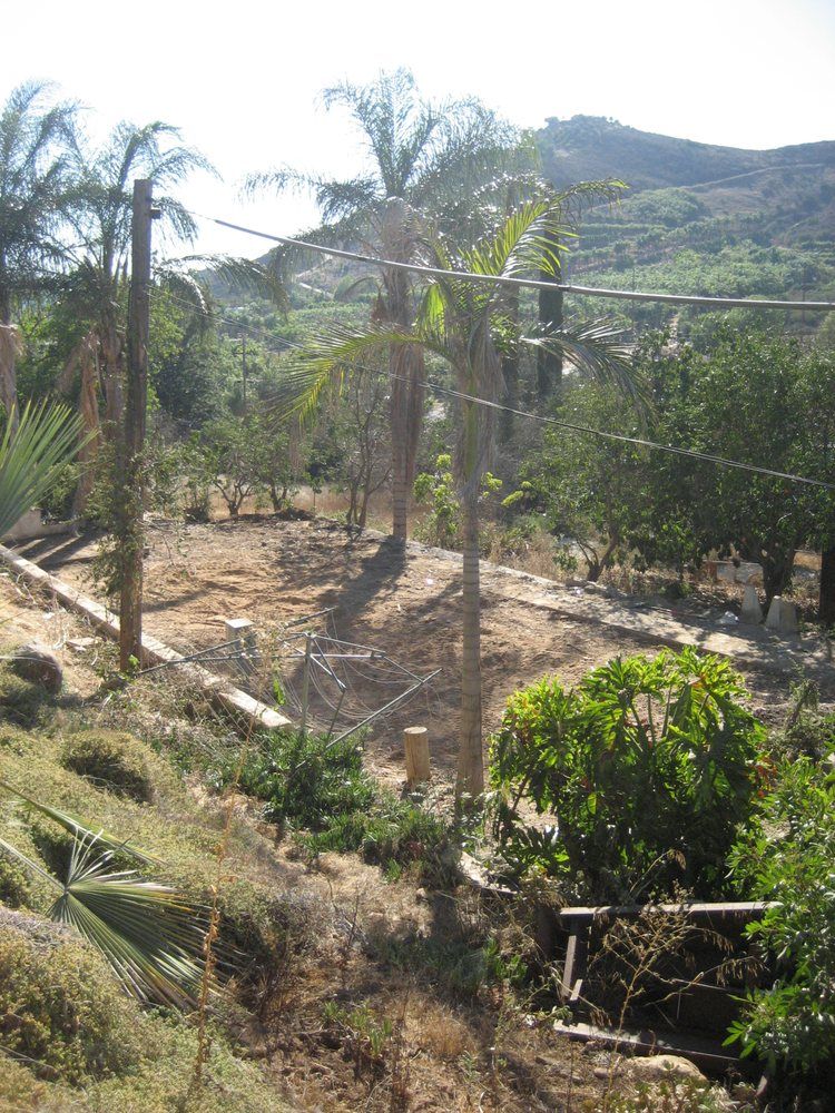 Tree Removal Service — Vista, CA — J. B. Hauling