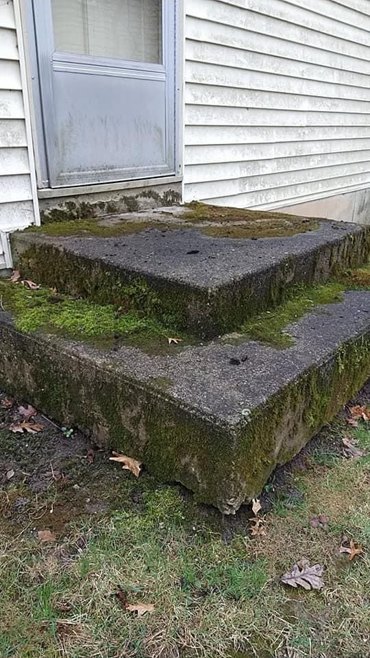 A set of concrete steps covered in moss next to a house.