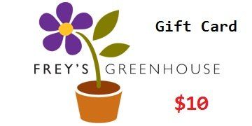 $10 Gift Card