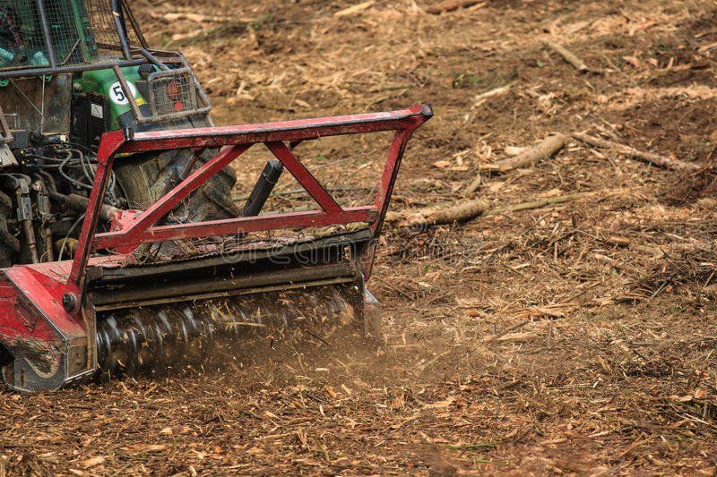 Advantages And Disadvantages Of Forestry Mulching