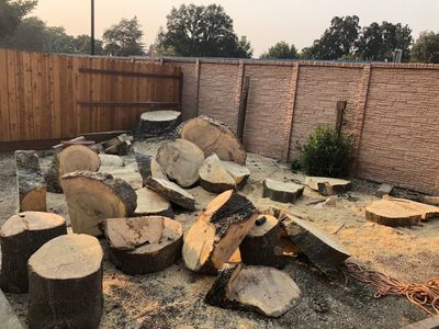 Tree Removal Sacramento