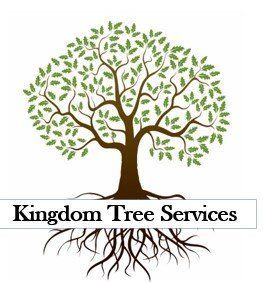 Kingdom Tree Service Sacramento