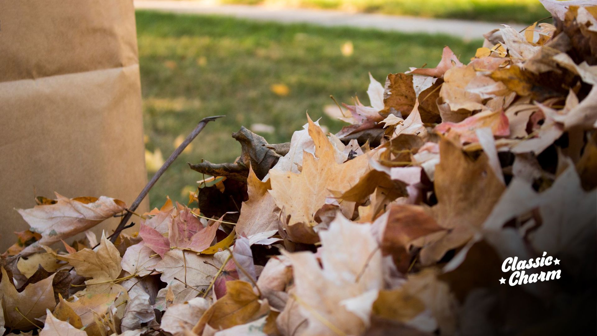 fall cleanup Fond du Lac