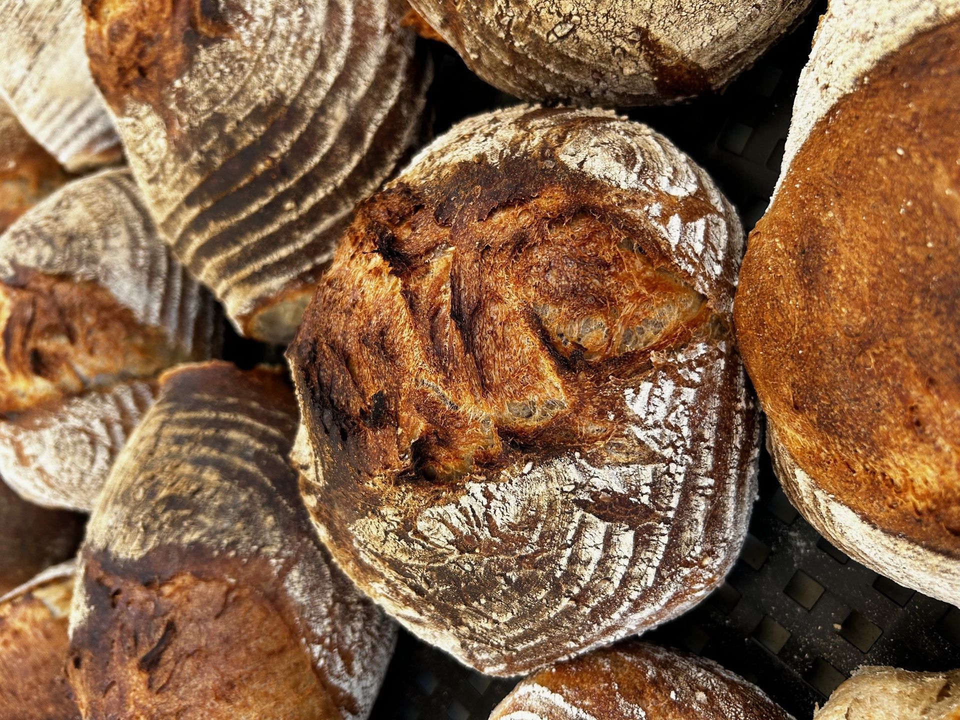 Brot aus unserem Holzofen