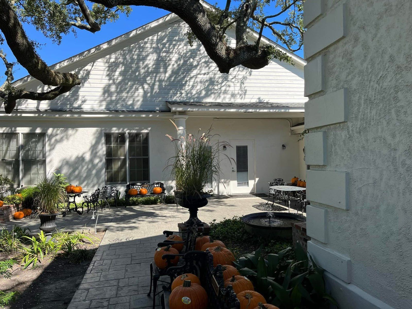 White building with pumpkins, patio, trees. Sunny outdoor setting.