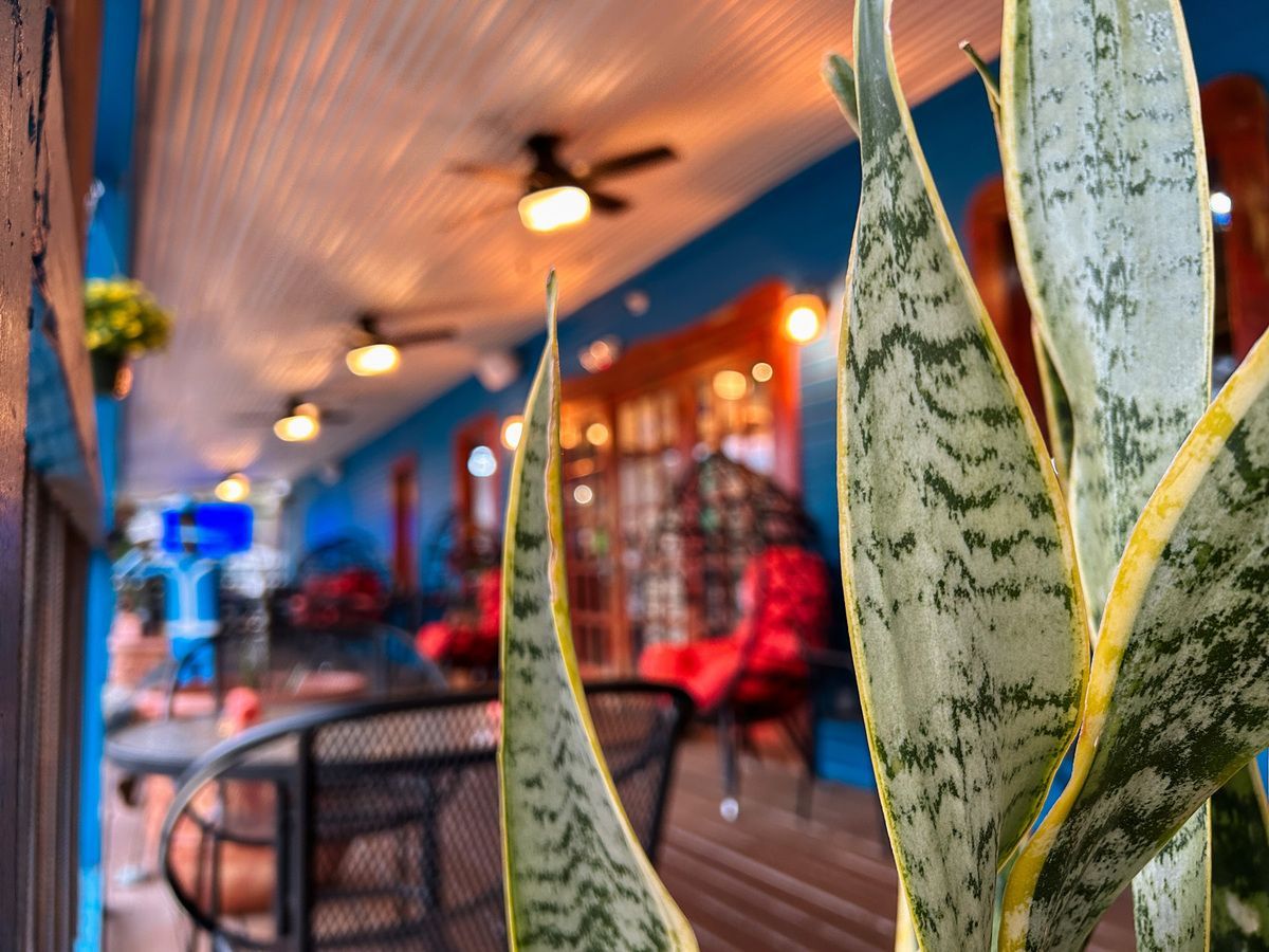 Soto's Cantina 2