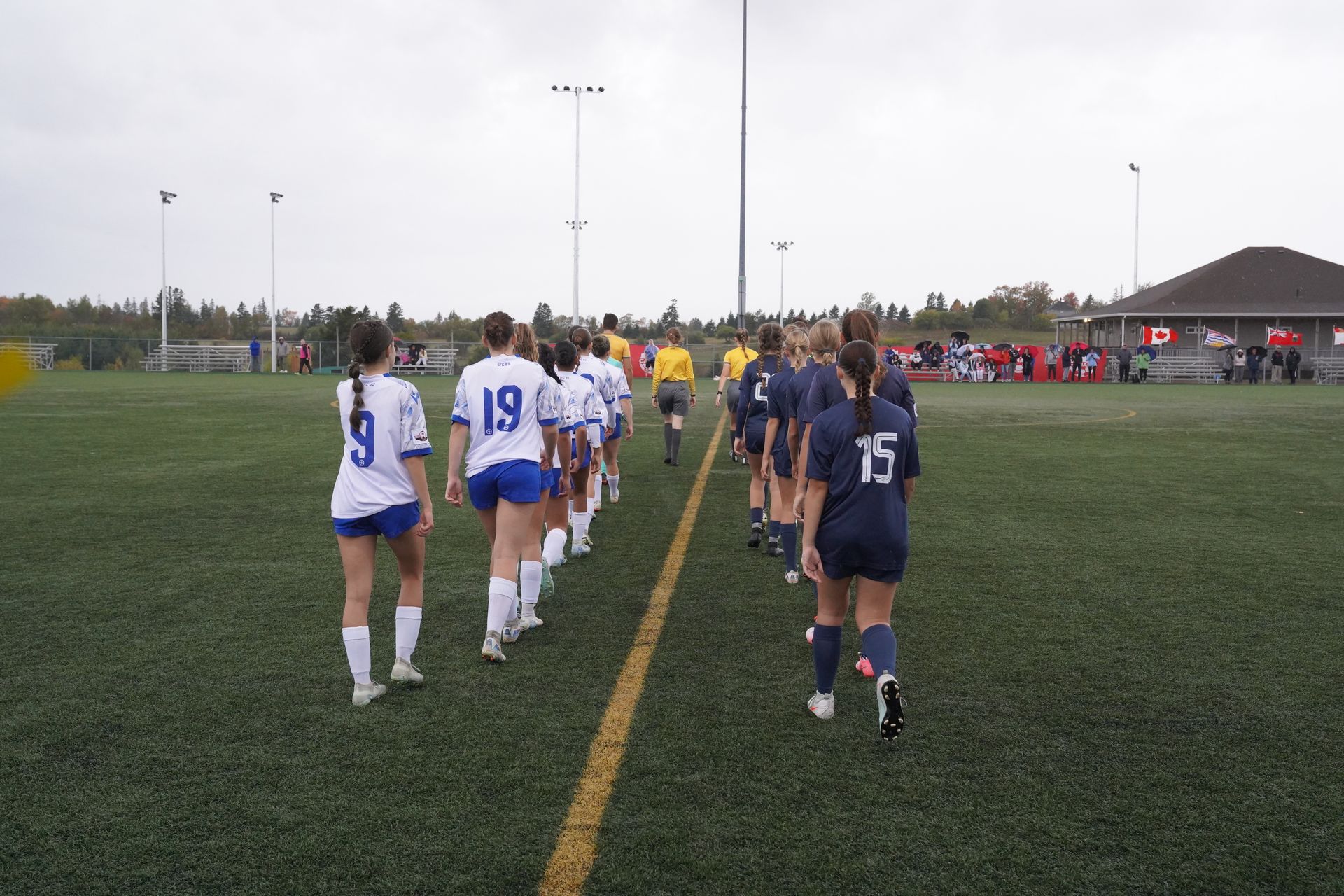 Two teams of soccer players in white and blue uniforms walk toward each other on a green field.