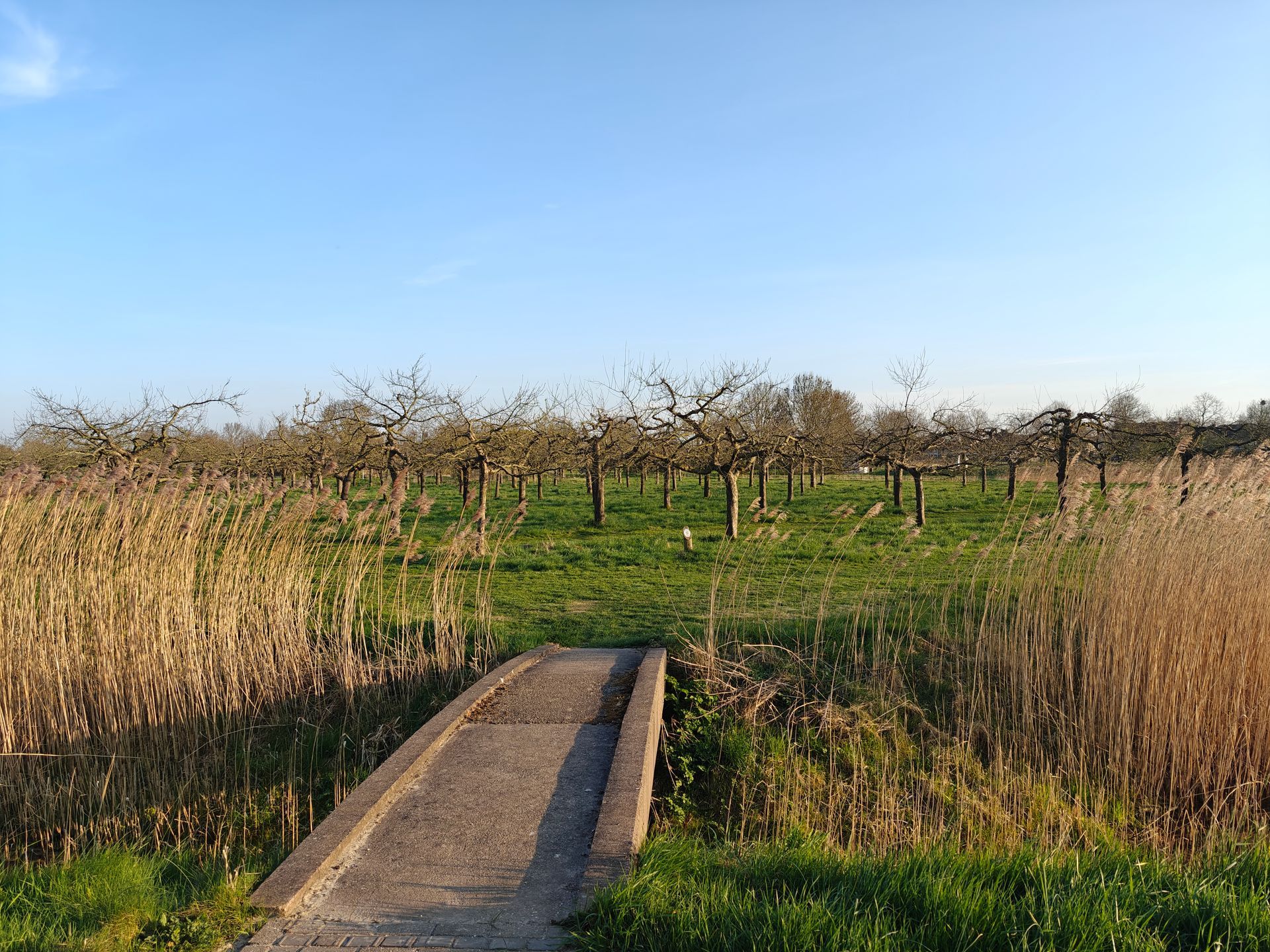Lingewaal Park - Buiten fotoshoot