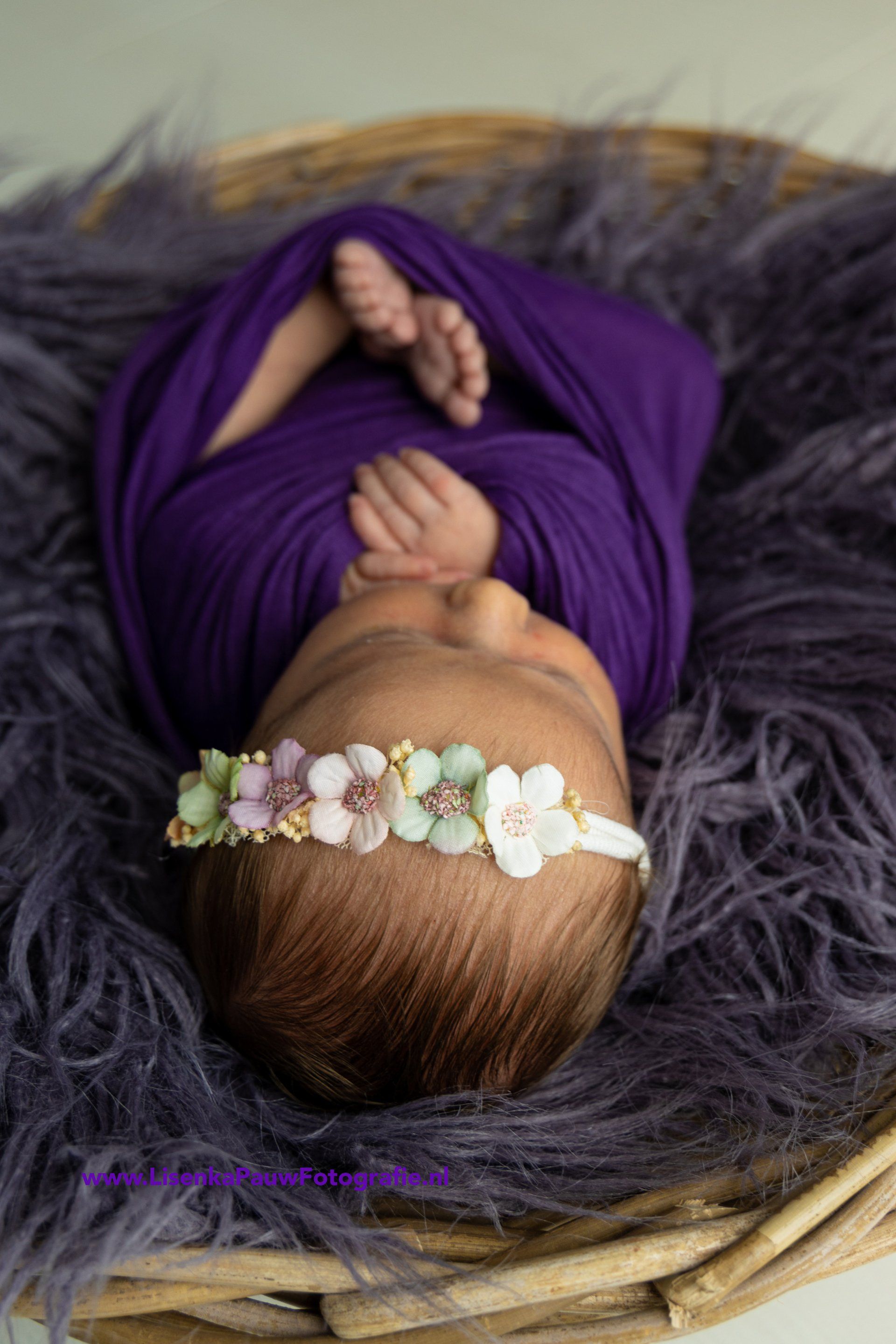 newborn, baby, foto, Lisenka Pauw Fotografie