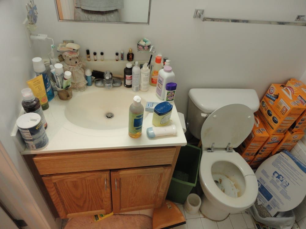 A bathroom with a toilet a sink and boxes of clorox