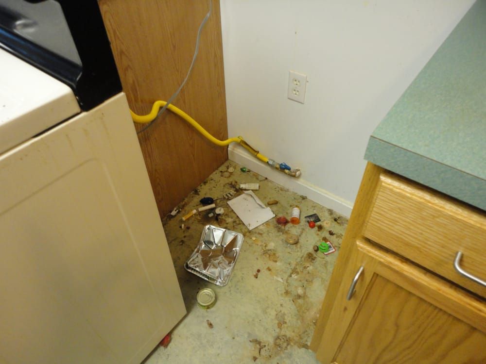 A messy kitchen with a stove and a washer and dryer