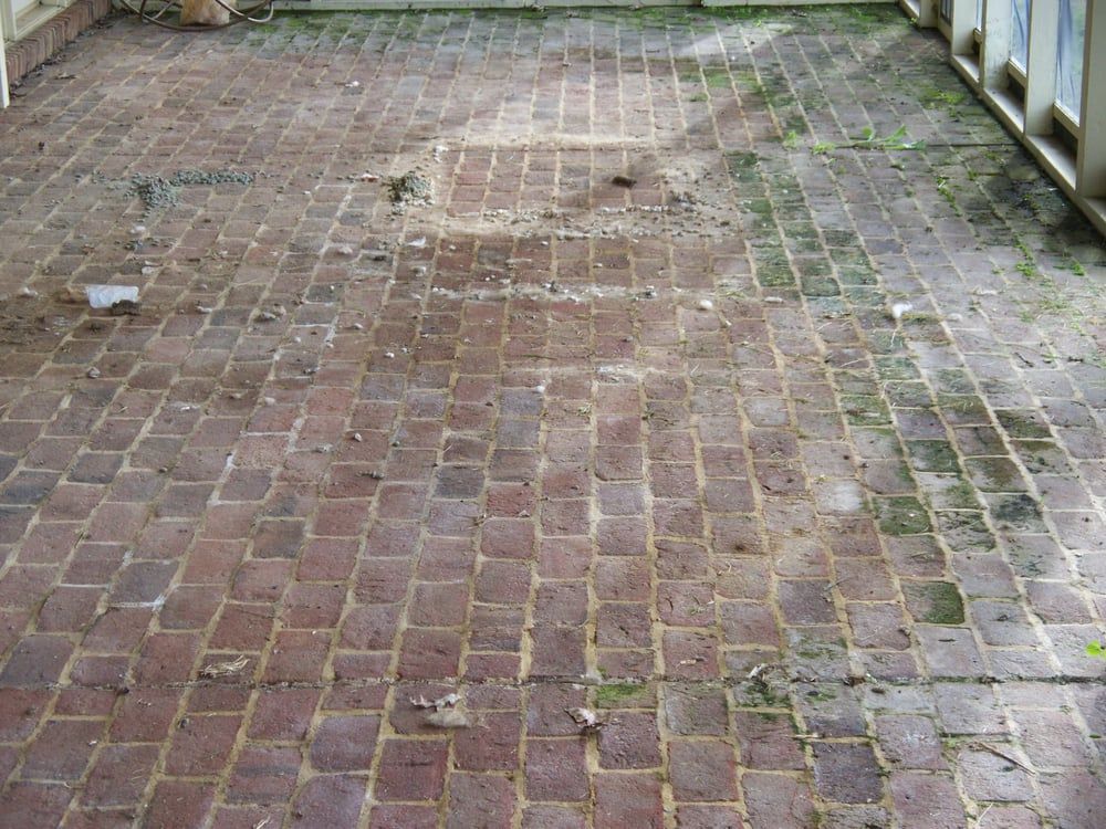 A dirty brick floor with moss growing on it