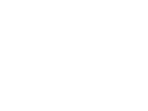 Renaissance Financial Services Logo