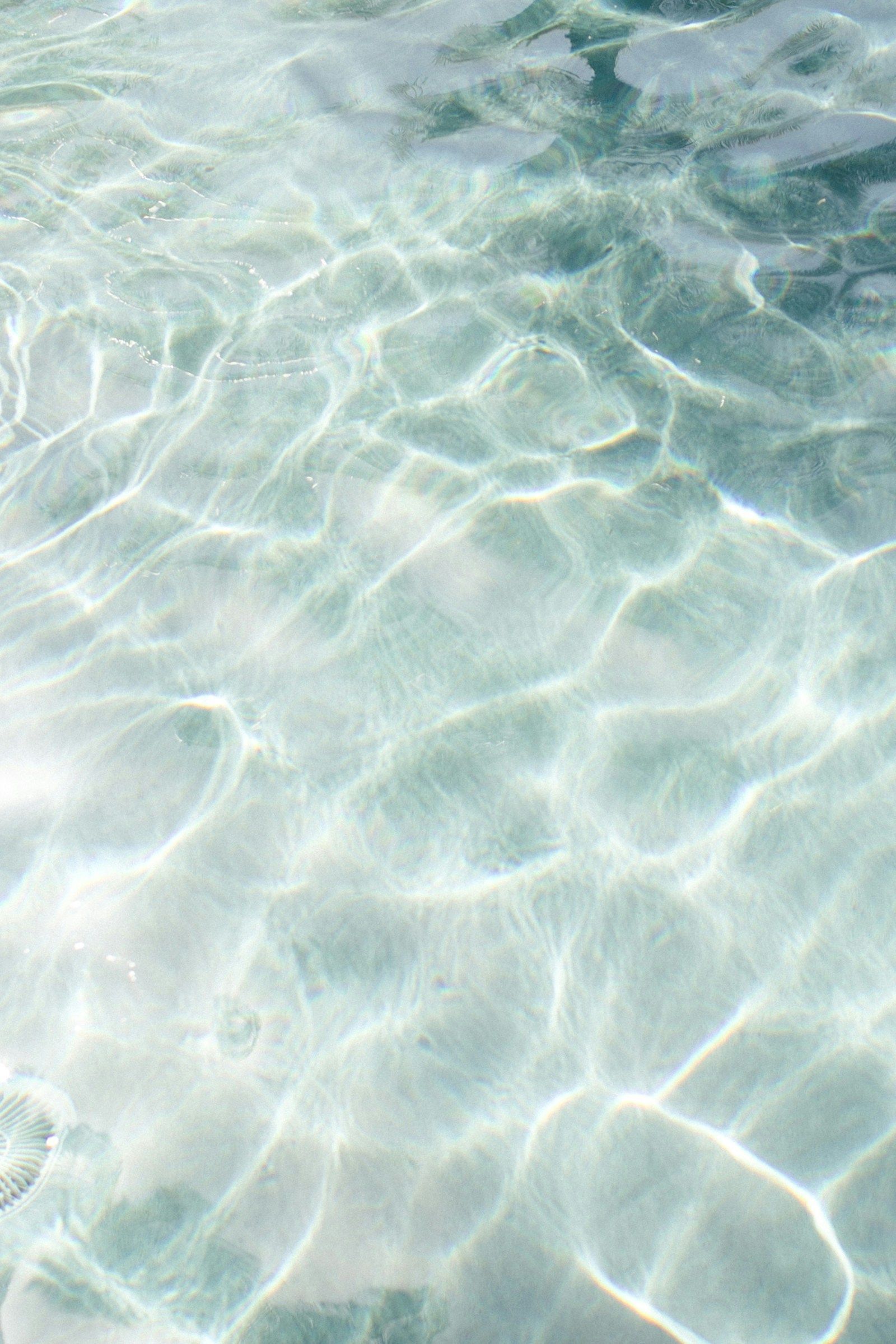 Clear, rippling water surface, reflecting sunlight, creating patterns of light and shadow.
