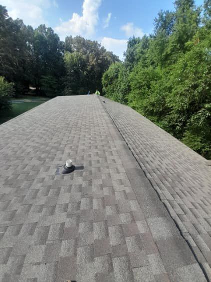 A roof with a bird sitting on it and trees in the background.