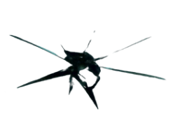 windshield-crack-repair-grand-junction