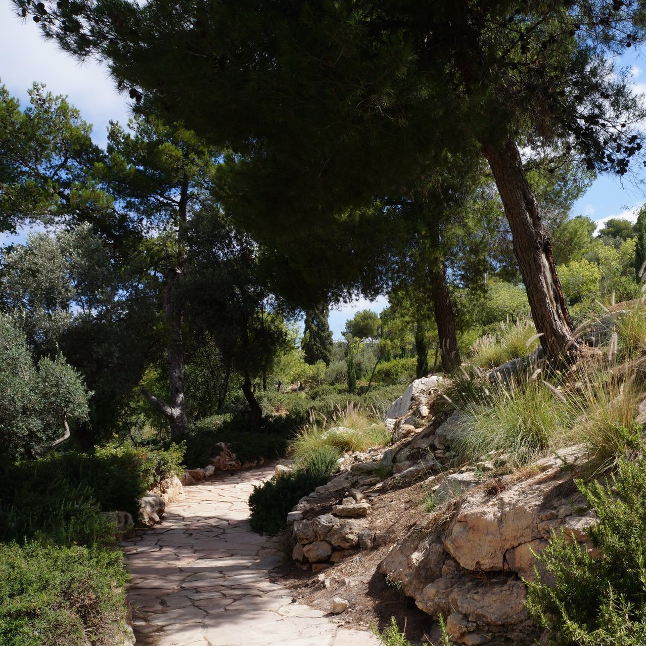 Garden of Gethsemane