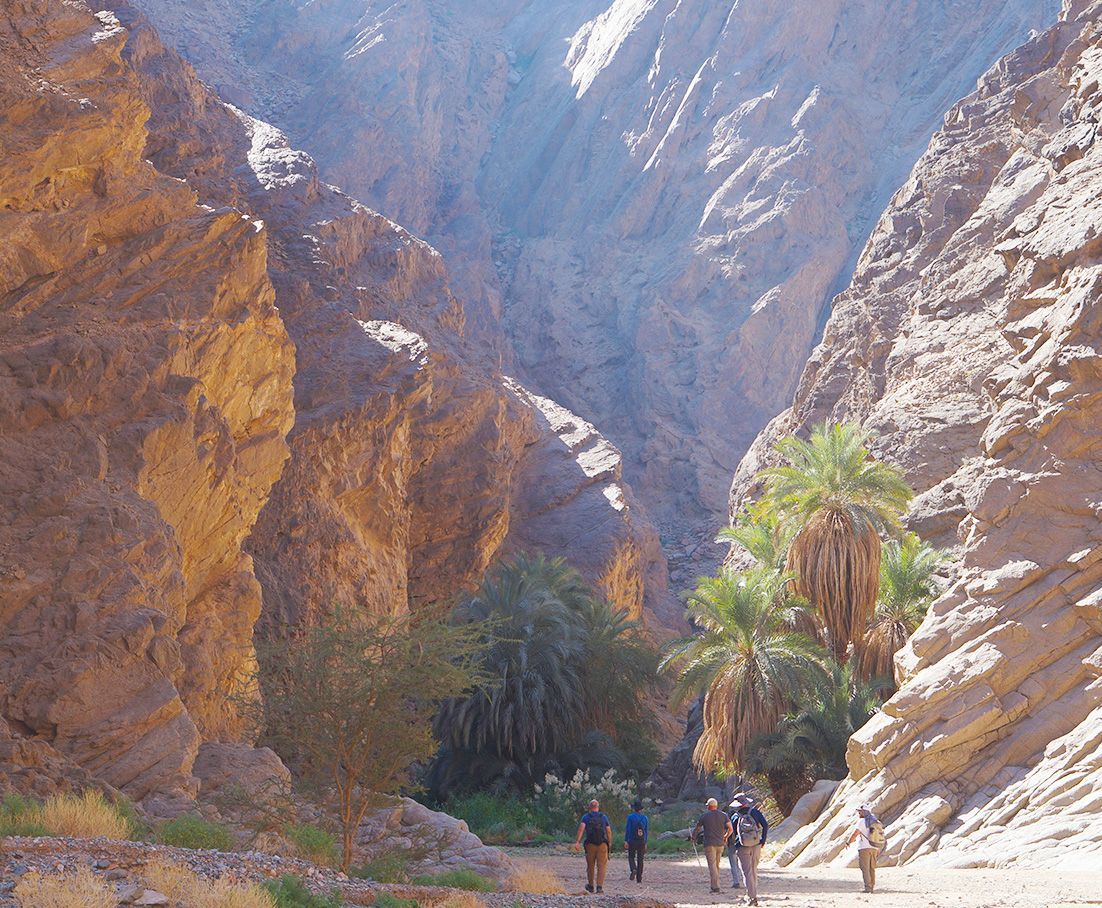 A group of people walking through a Wadi Tayyib al Ism with palm trees