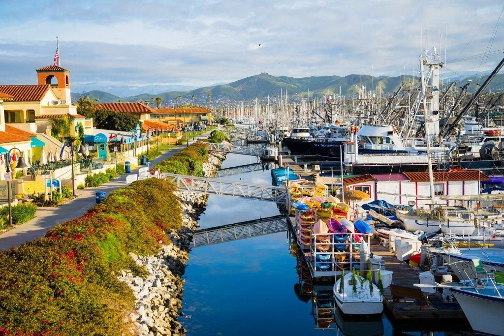 Sunny harbor with boats, marina docks, and a canal lined by colorful buildings and flowers
