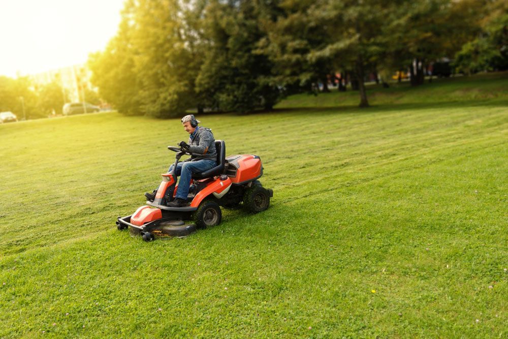 A Man Is Riding A Lawn Mower Through A Lush Green Field — Darren's Mowing in Miranda, NSW