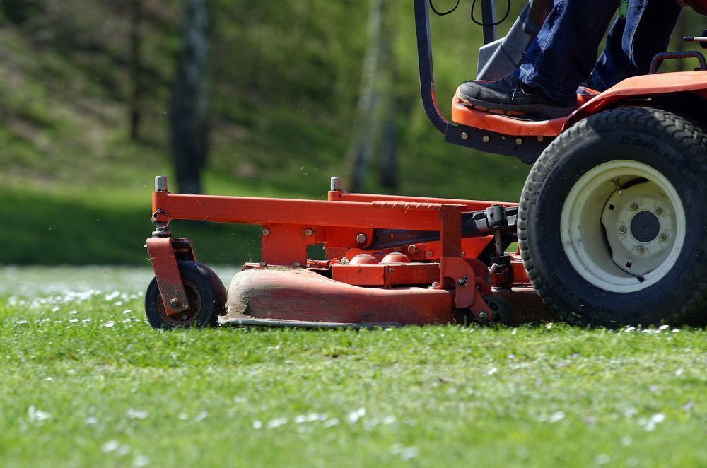 A Person Is Riding A Lawn Mower On A Lush Green Field — Darren's Mowing in Miranda, NSW