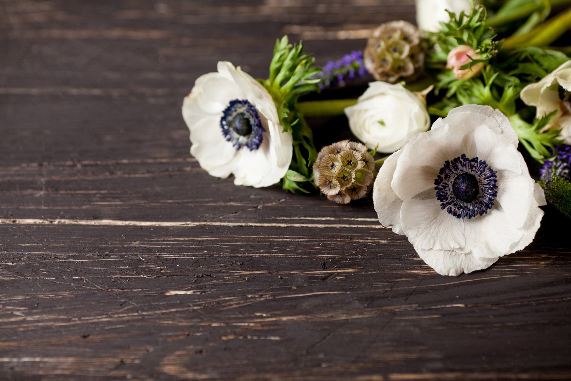 Currie Funeral Home Kilmarnock, VA