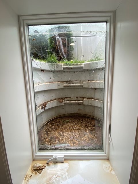 Window looking out onto a concrete window well filled with debris and vegetation.