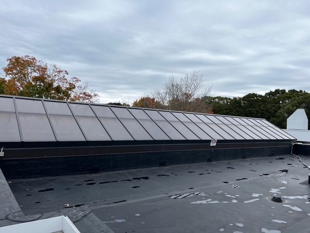 Black rooftop with a long skylight, overcast sky. Trees in the background.