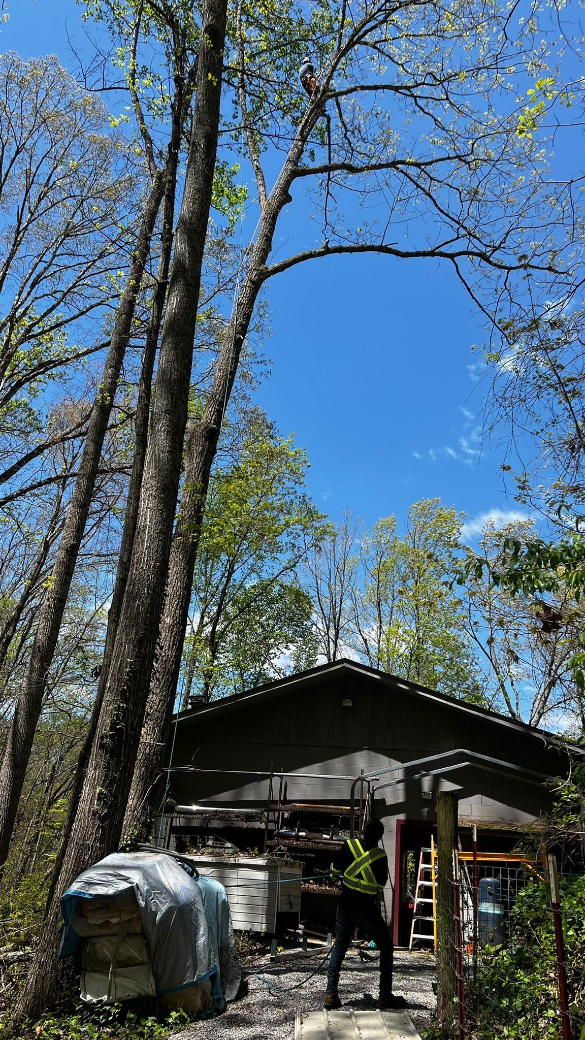 A House Is Surrounded by Trees and A Blue Sky on A Sunny Day | Dayton, OH | MTS LLC