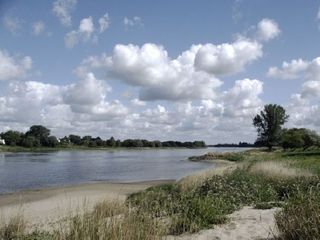 An der Elbe bei Rogätz