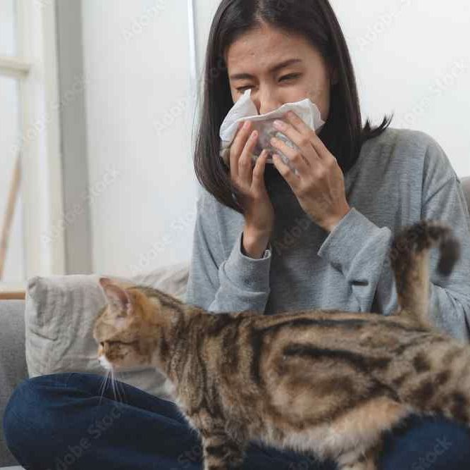 a woman sneezing into a tissue as a cat walks across her lap