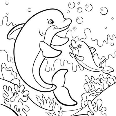dolphins