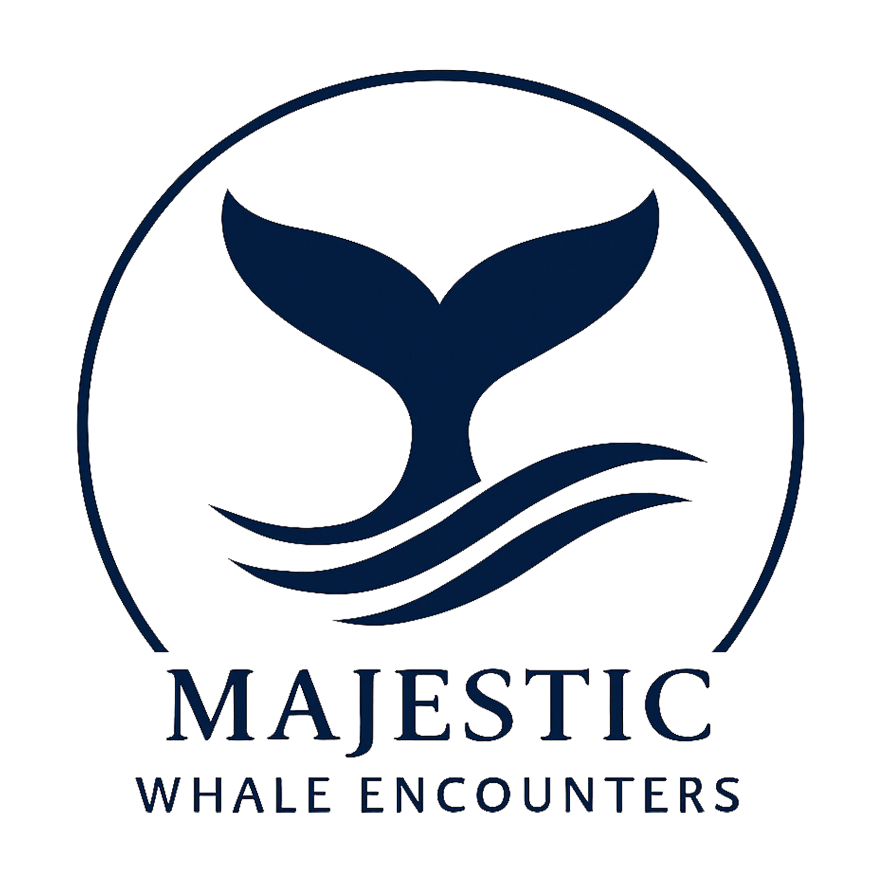 majestic whale encounters