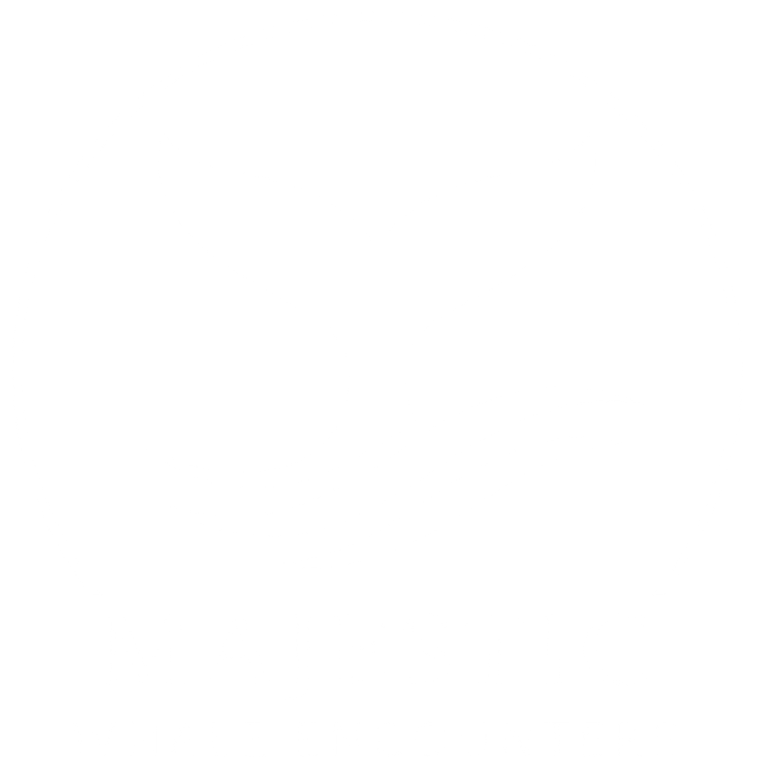 Majestic Whale Encounters logo