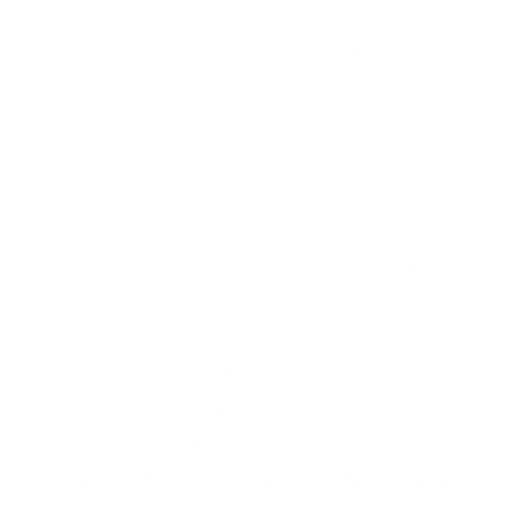 majestic whale encounters logo