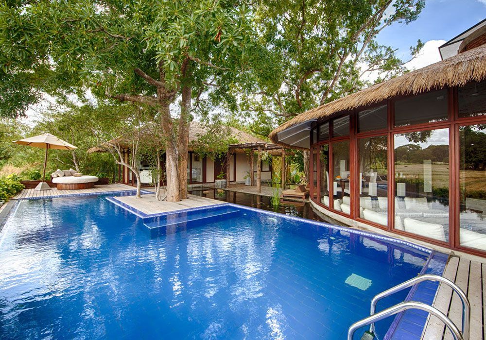 A large swimming pool is surrounded by trees and a house.