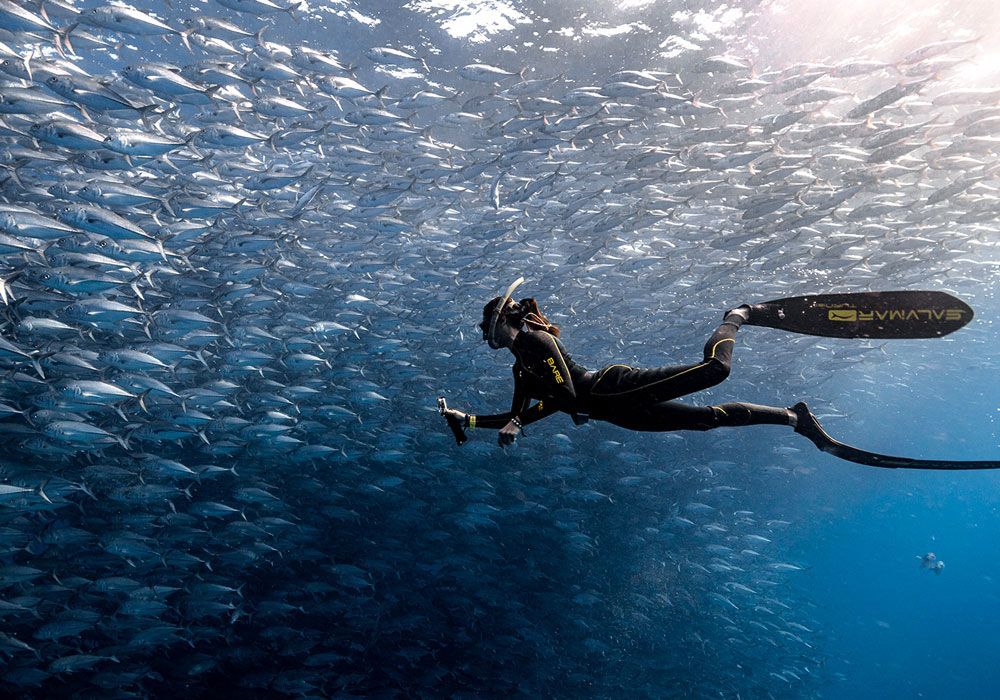A person is swimming in the ocean surrounded by a large school of fish.
