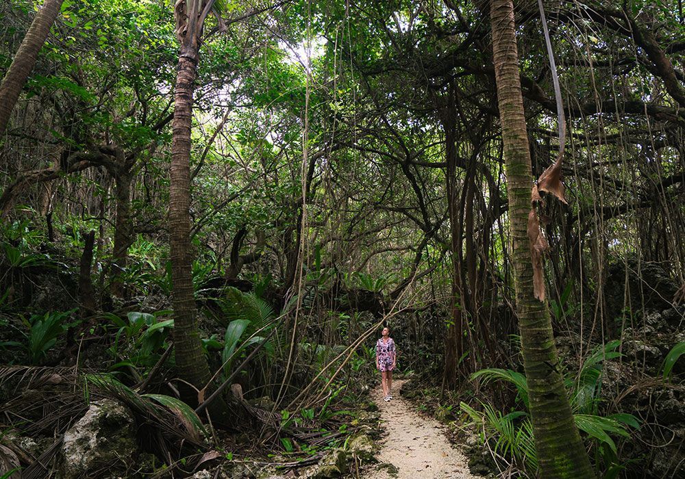 Person walking on a sandy path through a lush green forest.